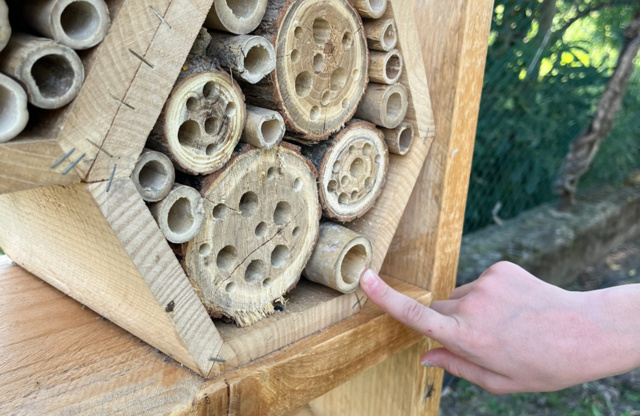 Il primo "Bugs Hotel Il Sentiero"