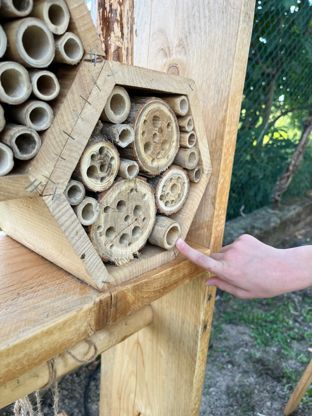 Il primo "Bugs Hotel Il Sentiero"